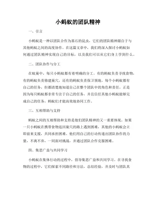 小蚂蚁的团队精神