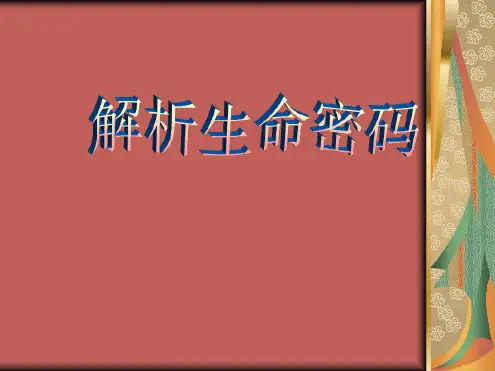 解析生命密码(详细数字组合)课件