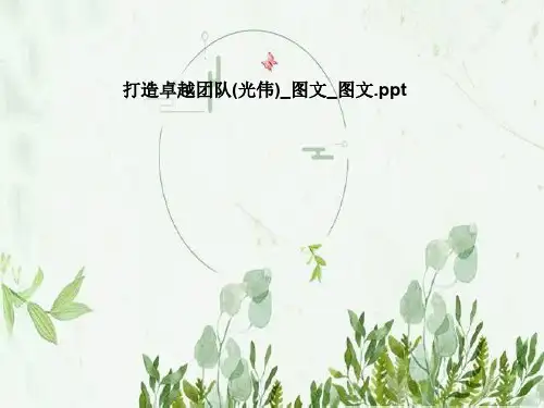 打造卓越团队(光伟)_图文_图文