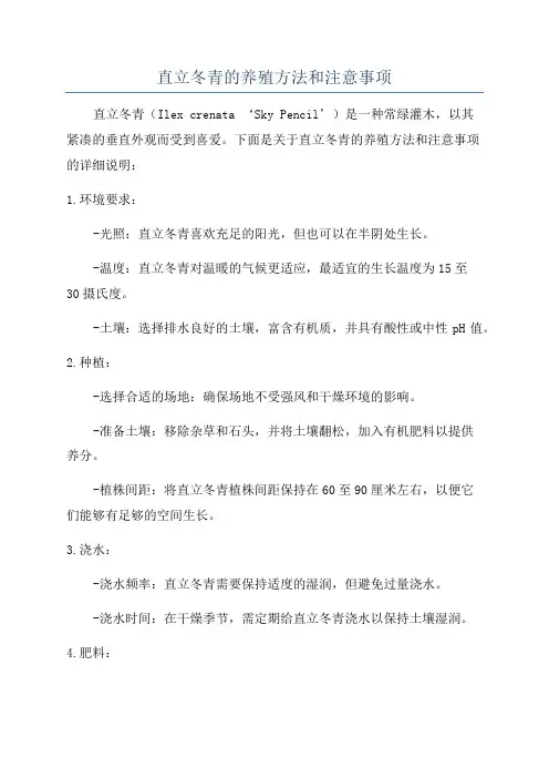 直立冬青的养殖方法和注意事项