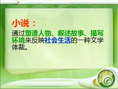 小说文体知识-获奖版PPT课件