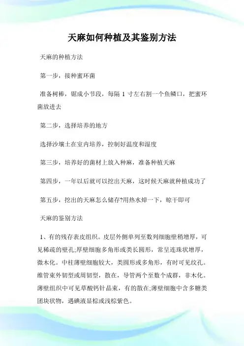 天麻如何种植及其鉴别方法.doc