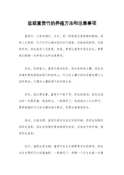 盆栽富贵竹的养殖方法和注意事项