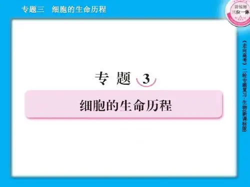 3-1细胞增殖与受精作用