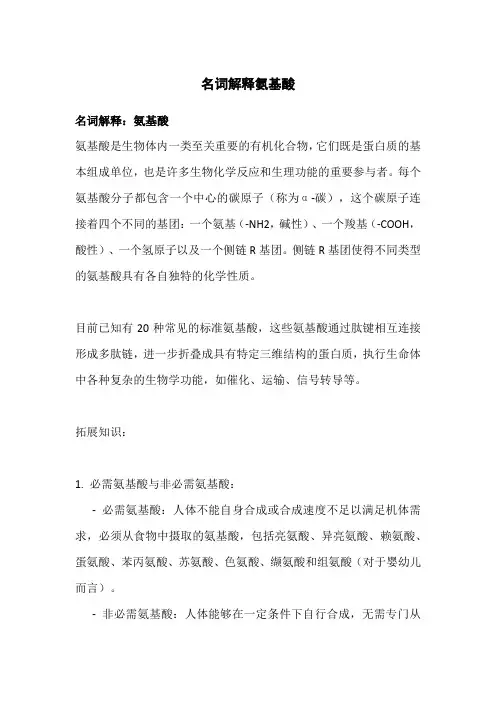 名词解释氨基酸