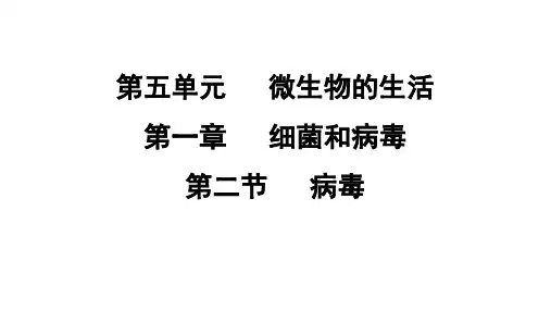 5.1.2 病毒 课件 冀少版生物八年级上册