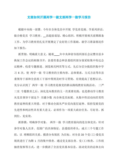 支部如何开展两学一做支部两学一做学习报告