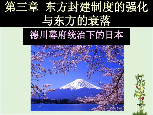 世界近代史之德川幕府统治下的日本