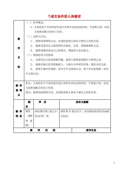 四年级科学上册我们的身体7相互协作的人体器官教案教科版