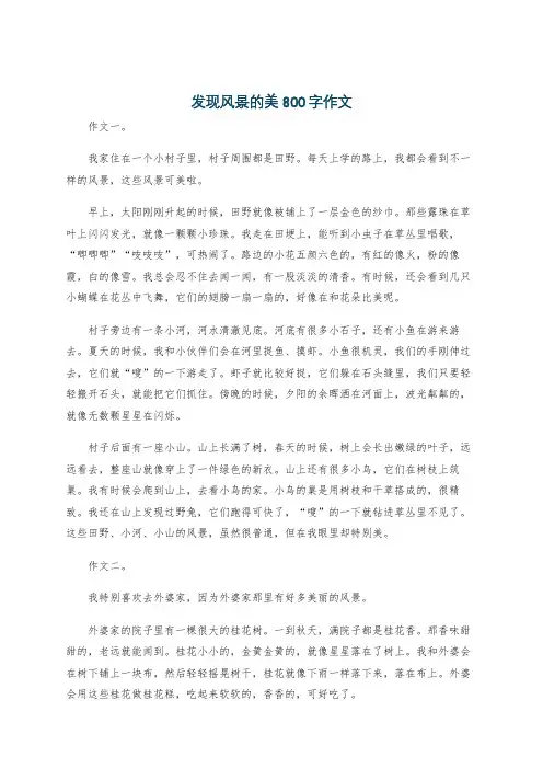 发现风景的美800字作文