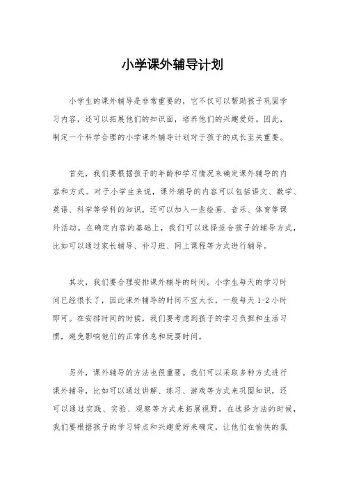 小学课外辅导计划