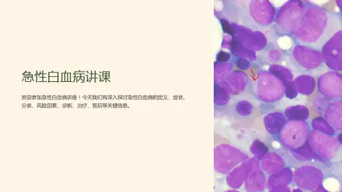 急性白血病讲课