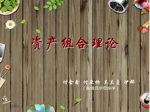 资产组合理论
