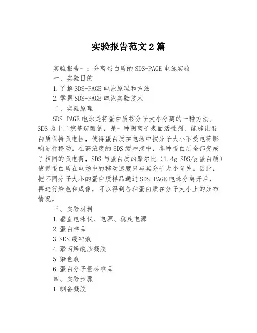 实验报告范文2篇