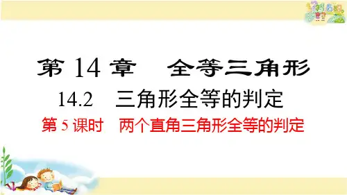 沪科版数学八年级上册 两个直角三角形全等的判定