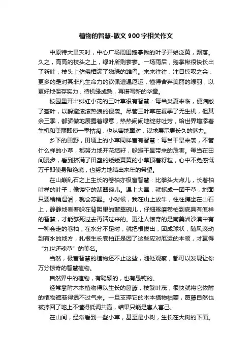 植物的智慧-散文900字相关作文