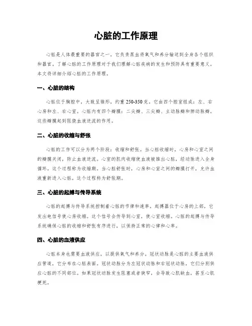心脏的工作原理
