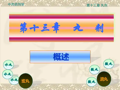 《中药药剂学》课件——第十三章    丸剂