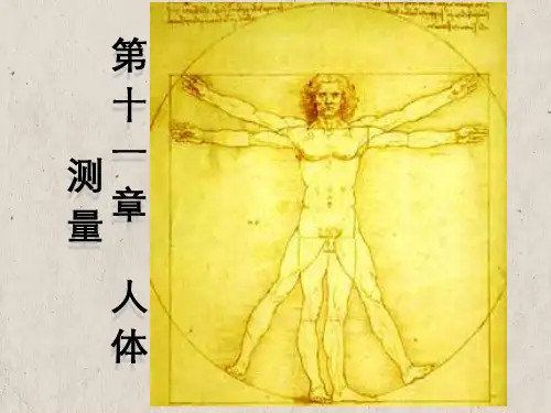 人因工程第11章人体测量