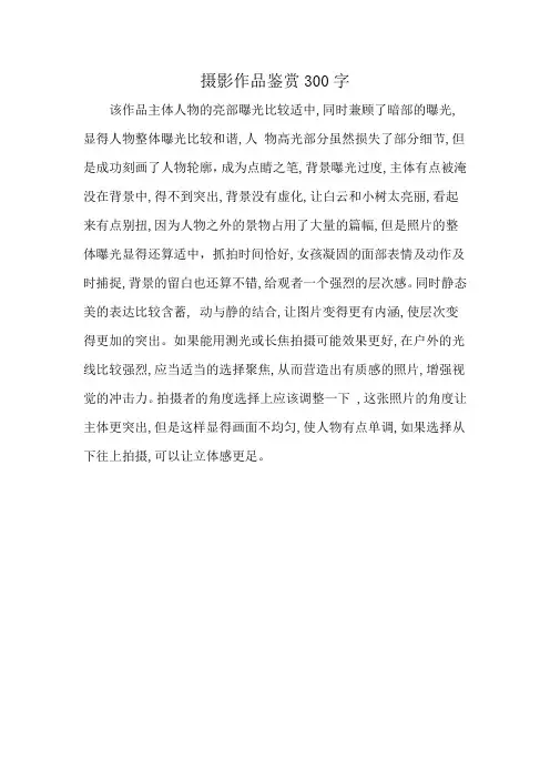 摄影作品鉴赏300字