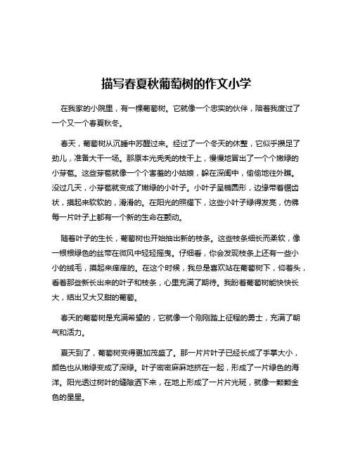 描写春夏秋葡萄树的作文小学