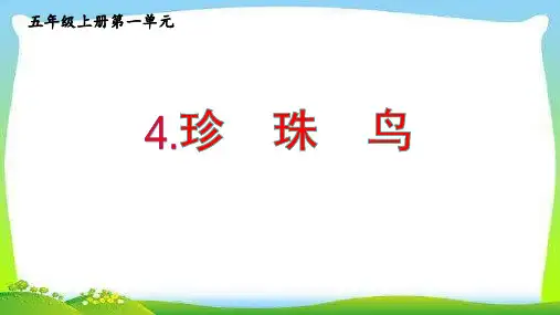 《珍珠鸟》ppt课件