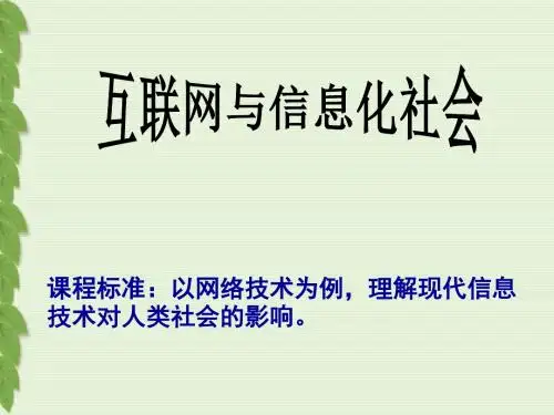 【高中历史】互联网与信息化社会ppt
