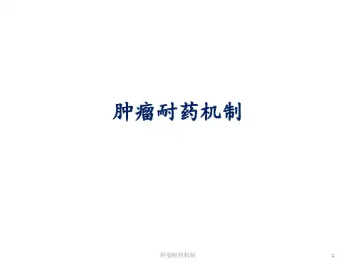 肿瘤耐药机制PPT课件