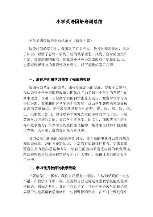 小学英语国培培训总结