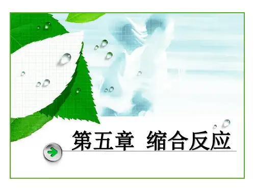 药物合成反应 第五章 缩合反应