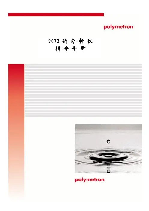 9073-钠表指导手册