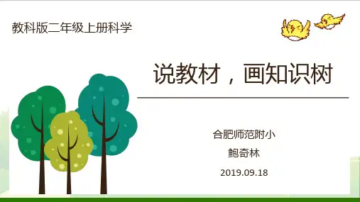 二年级上册科学说教材,画知识树教科版