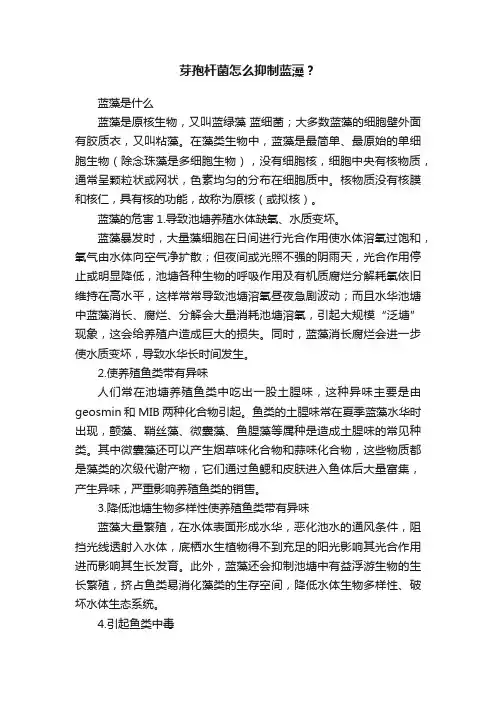 芽孢杆菌怎么抑制蓝藻？