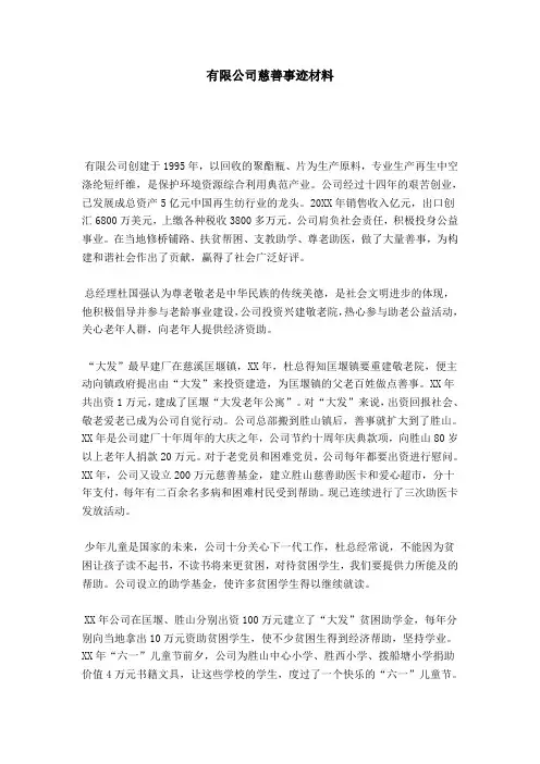 有限公司慈善事迹材料-总结报告模板