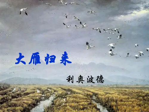 第7课《大雁归来》课件(21张PPT)部编版语文八年级下册
