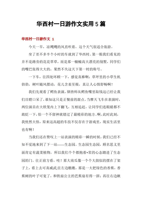 华西村一日游作文实用5篇