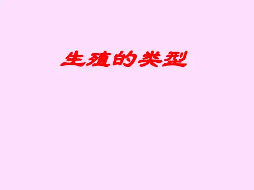 11生殖的类型 减数分裂