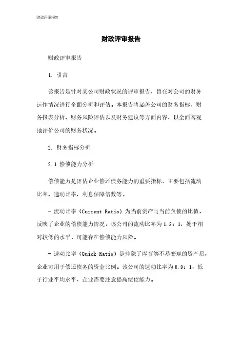 财政评审报告