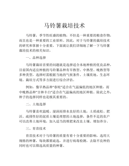 马铃薯栽培技术