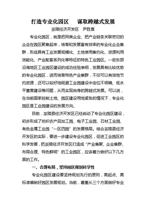 打造专业化园区   谋取跨越式发展