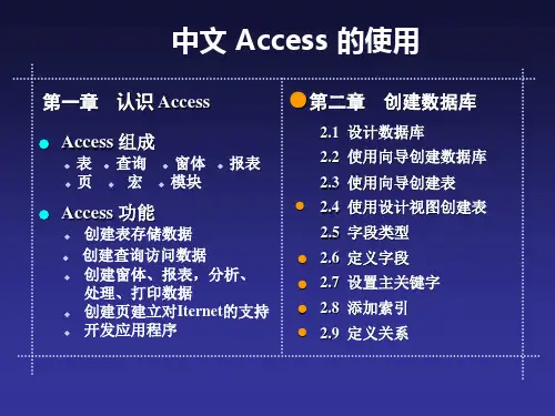 中文ACCESS使用教程