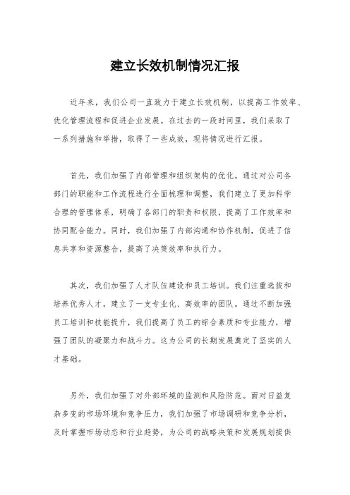 建立长效机制情况汇报