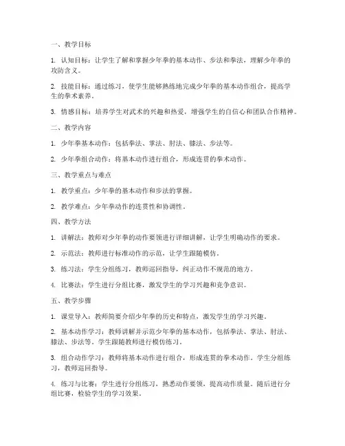 初中武术少年拳教案