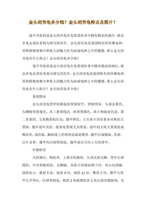 金头闭壳龟多少钱？金头闭壳龟特点及图片？