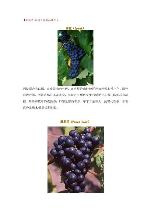 葡萄品种大全