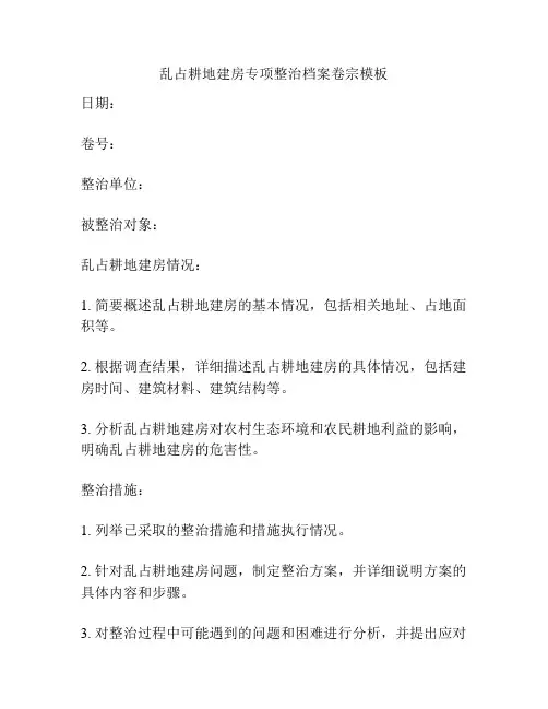 乱占耕地建房专项整治档案卷宗模板