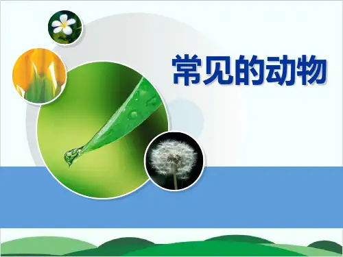 (一下)科学PPT课件 常见的动物 青岛版(六年制)(9张)