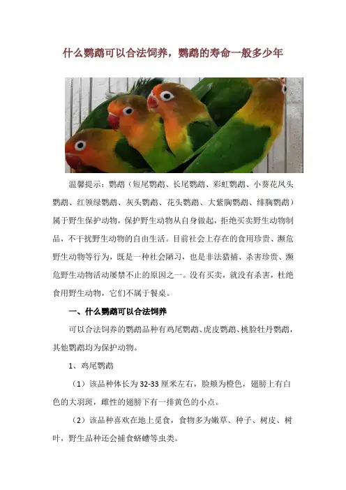 什么鹦鹉可以合法饲养,鹦鹉的寿命一般多少年