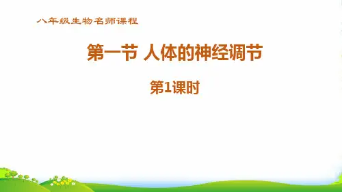 生物_人体的神经调节第一课时_课件