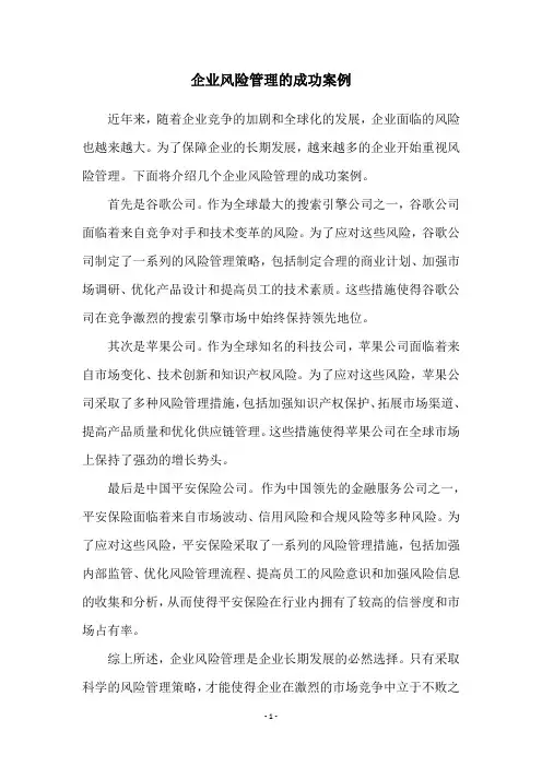 企业风险管理的成功案例
